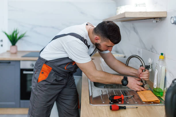 Best Local Plumber Services  in Daisetta, TX