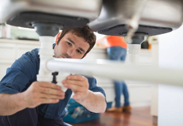 Best Plumbing Services Near Me  in Daisetta, TX