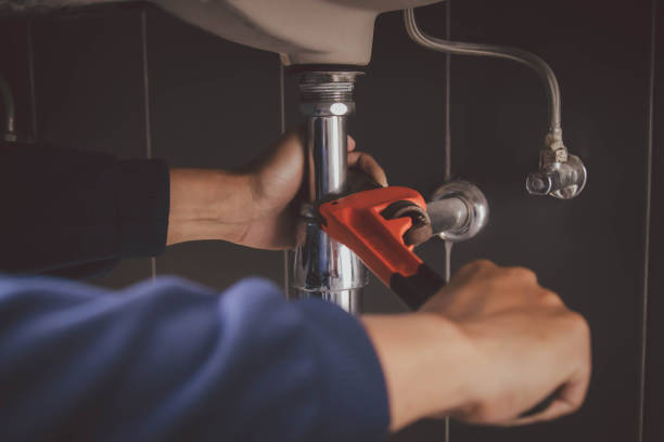 Best Clogged Drain Plumber  in Daisetta, TX